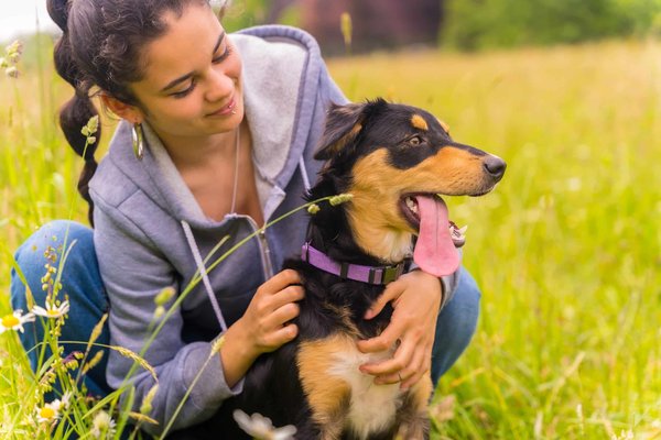 Prévision des coûts lors de la création d'une SAS : un guide essentiel