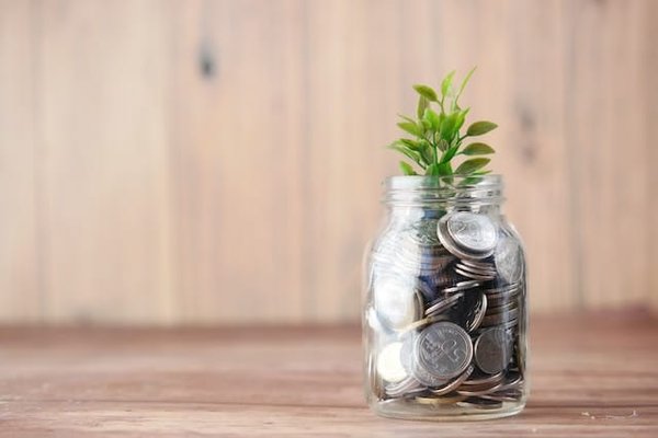 La montée en puissance de l'économie verte : Les opportunités pour les investisseurs